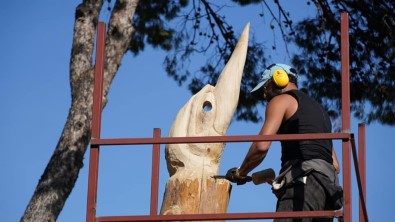 Çesme'de Ömrünü Tamamlamis Agaçlar Sanat Eserine Dönüsüyor