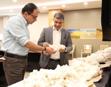 Diyarbakir Ticaret Borsasi'nda Online Pamuk Alim Satimi
