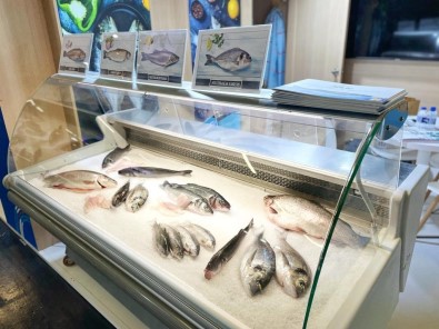 Türk Su Ürünleri Ve Hayvansal Mamuller Sektörü Ihracatta 3,5 Milyar Dolara Kosuyor