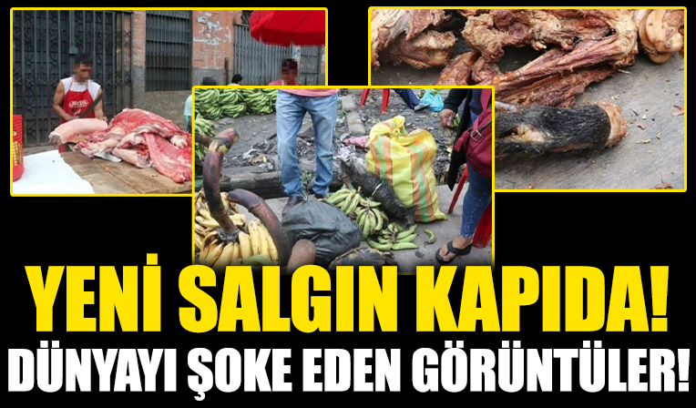 Yeni salgın kapıda! Bu görüntüler dünyayı şoke etti!