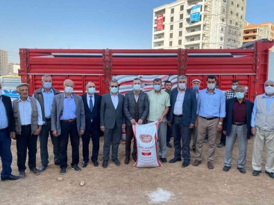 Çiftçilere Yüzde 75 Hibe Ile Tohum Dagitildi