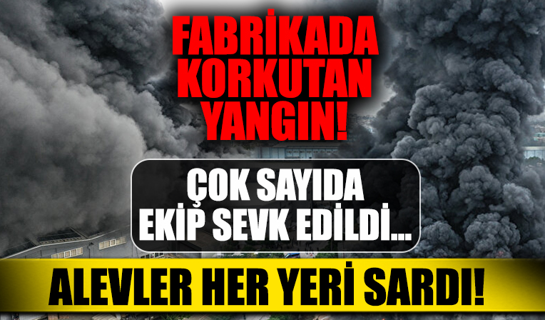 Organize sanayi bölgesinde yangın!