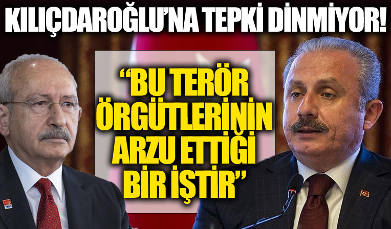 Şentop'tan 'siyasi cinayet' çıkışı yapan Kılıçdaroğlu'na: Bu terör örgütlerinin arzu ettiği bir iştir