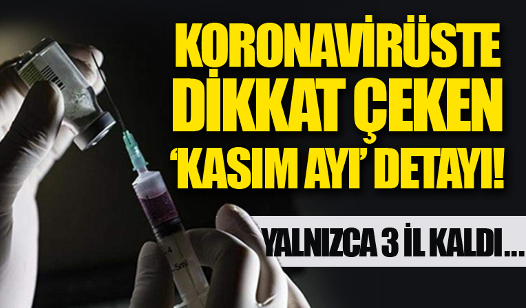 Koronavirüste dikkat çeken 'Kasım ayı' detayı: Yalnızca 3 il kaldı