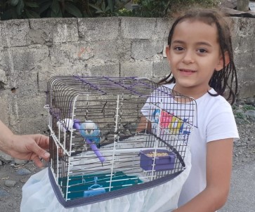 Itfaiyeciler Kafesinden Kaçan Muhabbet Kusu Için Seferber Oldu