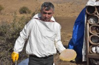 Bitlis'in Meshur Karakovan Balinin Hasadina Baslandi