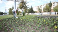 Elazig Belediyesinden Mevsimlik Çiçek Dikimi