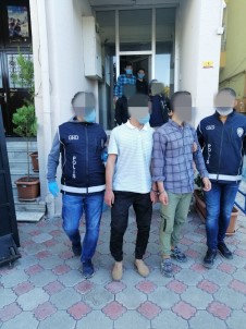 Malatya'da 11 Kaçak Göçmen Yakalandi