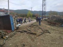 Odun Yüklü Traktör Devrildi Açiklamasi 1 Ölü, 1 Yarali