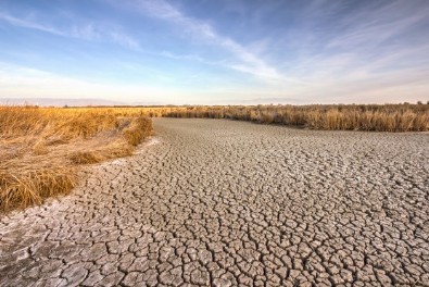 ABD'de kuraklık krizi! California eyaletinde acil durum ilan edildi