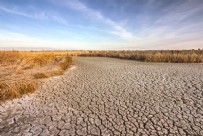 ABD'de kuraklık krizi! California eyaletinde acil durum ilan edildi