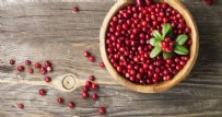Kekreyemiş Tozu Faydaları Nelerdir? Kekreyemiş Tozu Zayıflatır Mı?