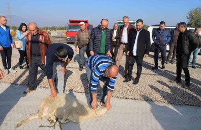 Esnaftan Baskan Akin'a Tesekkür