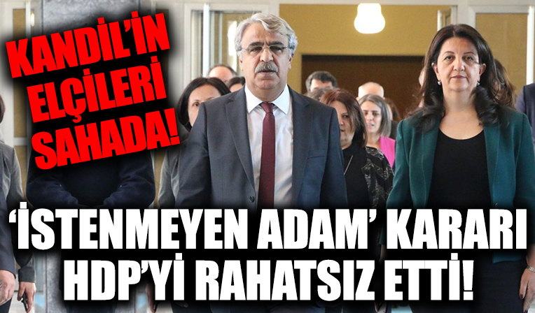 HDP'den 10 büyükelçi kararına tepki!