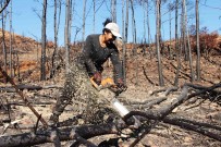 Yanan Sahalara Kadin Eli