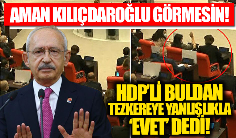 HDP'li Pervin Buldan tezkereye yanlışlıkla 'evet' dedi