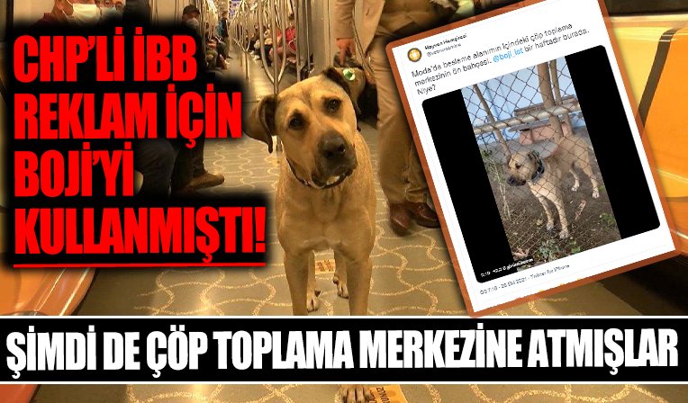 Boji'yi çöp toplama merkezine atmışlar!