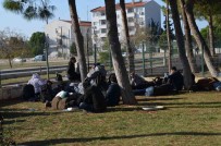 Didim'de 75 Göçmen Yakalandi