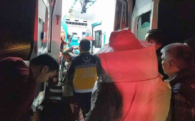 Ari Kovani Tasiyan Kamyonet Devrildi Açiklamasi 2 Yarali