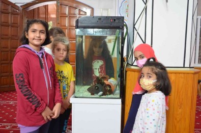 Imam, Çocuklar Için Camiye Akvaryum Yaptirdi