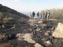 Tatvan'da Örtü Yangini