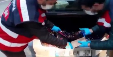 15 Kilo Eroini, Kadin Elbiselerinin Astarlarina Gizlemisler