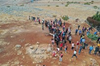 Hatay'da Dag Ceylanlarina Ayda Iki Bin Ziyaretçi