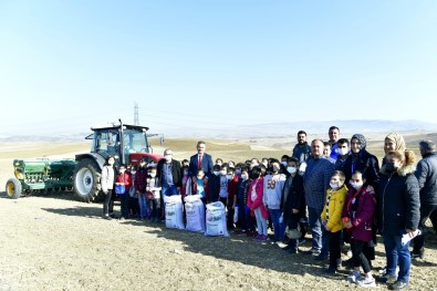 Ögrencilerin Tohumlari Mamak'ta Toprakla Bulustu