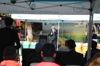 Balikesir Büyüksehir'den Süt Otu Desteginde Rekor