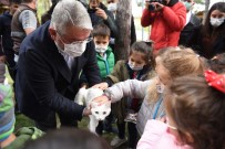 Çorum Belediyesi'nden 4 Ekim Hayvanlari Koruma Günü Etkinligi
