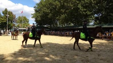 Dünya Hayvanlari Koruma Gününe Atli Polisler Damga Vurdu