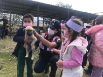 Kirikkale'de Ögrenciler Hayvan Barinagini Ziyaret Etti