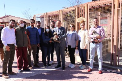 Malatya'ya Tam Tesekküllü Hayvan Hastanesi