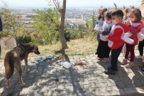 Ögrenciler Sokak Hayvanlarini Besledi