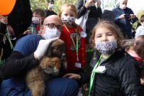 Samsun'da 'Pati Senligi'