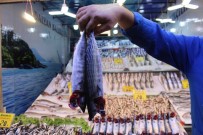 Ulus Hali Balikçi Esnafi Meydan Okudu