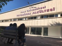 Uluslararasi Basariya Imza Atan FÜ Veteriner Fakültesi, EAEVE Tarafindan Akredite Edildi