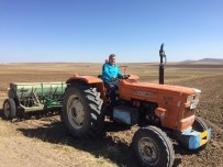 Yozgat'ta Hububat Ekimi Basladi