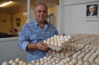 Yumurta Çiftlikten Pazara Kadar En Az Iki El Degistiriyor