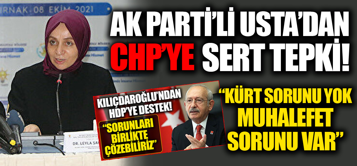 AK Parti'li Usta: Türkiye'de Kürt sorunu yok muhalefet sorunu var