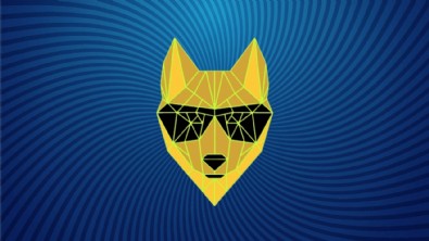 Dingo Token Nedir? Dingo Token Nasıl Alınır? Dingo Token Ne Kadar?