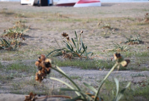 meteoroloji den son dakika hava durumu aciklamasi istanbul izmir ve ankara da hava durumu nasil olacak