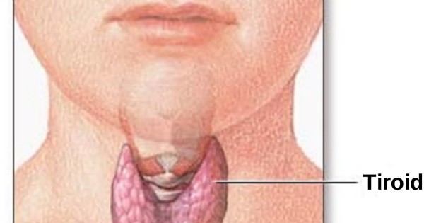 Guatr Neden Olur? Guatr Belirtileri Nelerdir?