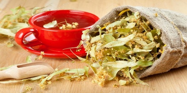 Ihlamur Çayı Faydaları Nelerdir? Ihlamur Çayı Nasıl Yapılır?