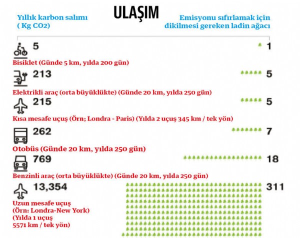 2 cappuccino’nun bedeli 7 ağaç