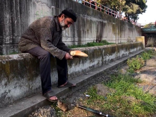 Samsun'da kimsesiz adam ile farenin dostluğu!