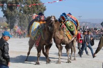 Ege'de Develer Arenaya Indi