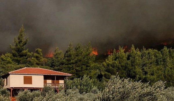 Ormana bitişik parsellerde yapı inşası yasaklandı