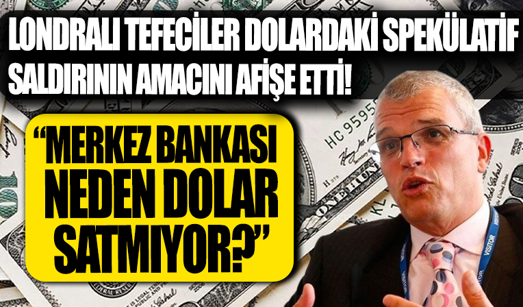 Ekonomist Timothy Ash'dan Türkiye'ye IMF ve dolar önerisi