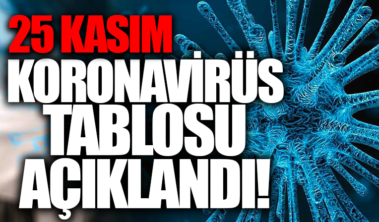 25 Kasım koronavirüs verileri açıklandı! İşte Kovid-19 hasta, vaka ve vefat sayılarında son durum